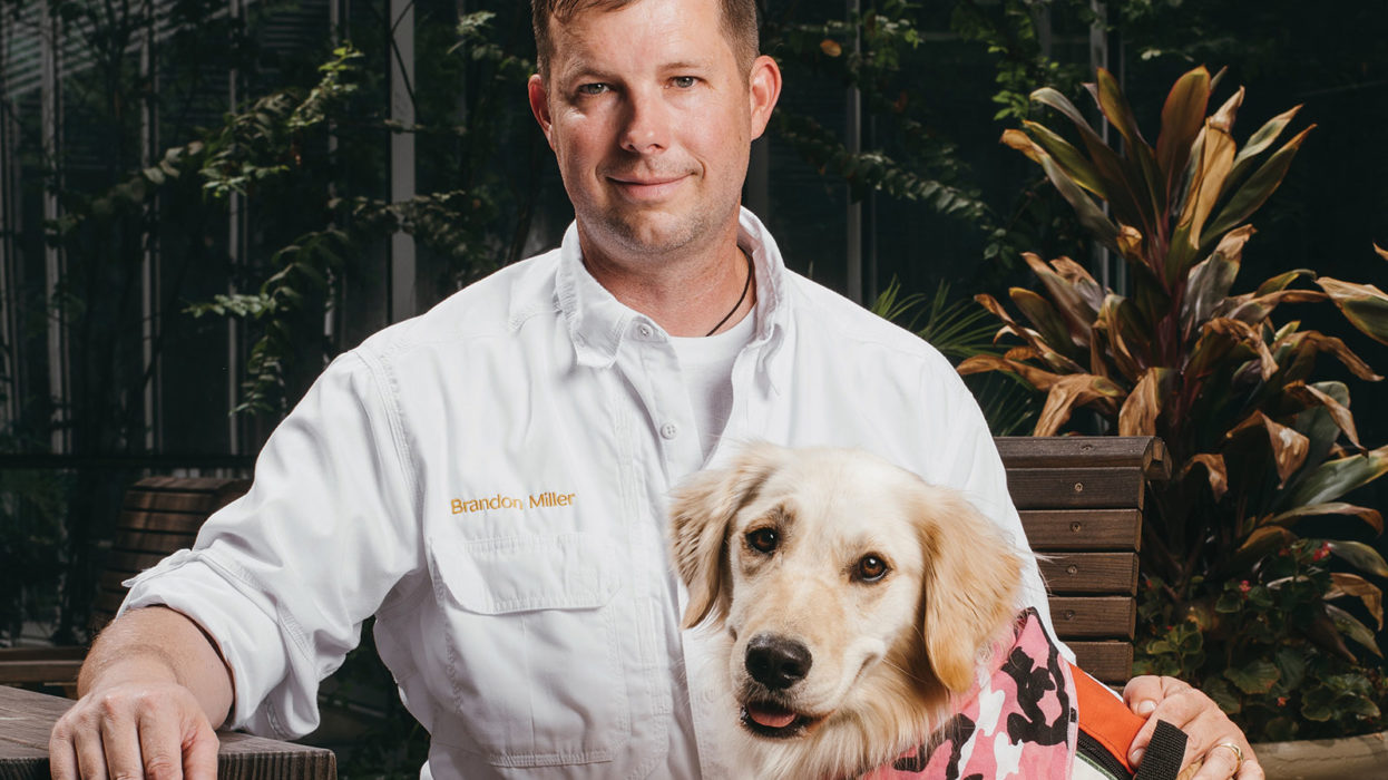Chanel The Comfort Dog Cares For Staff At Methodist Healthcare San Antonio Magazine