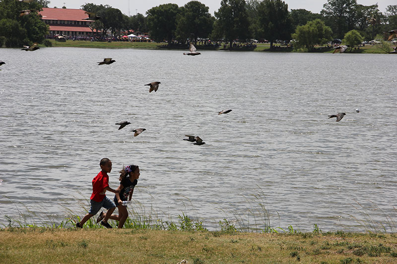 Woodlawn Lake Park of San Antonio