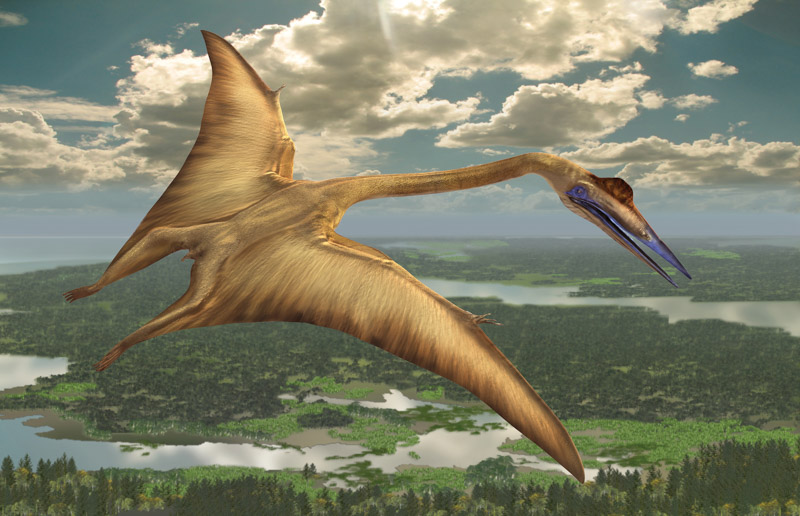 The New Witte - San Antonio Magazine