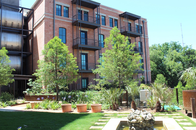 Cellars is now open San Antonio Magazine