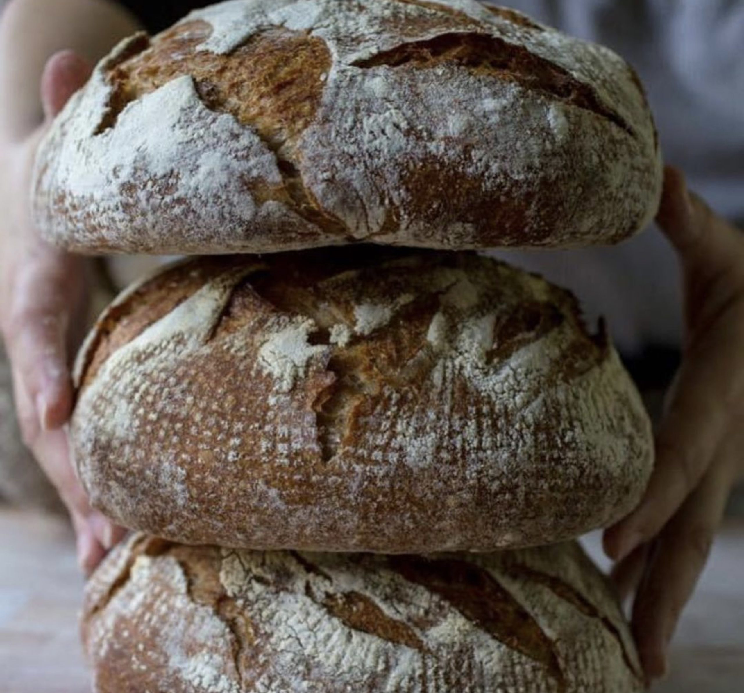 Getting to Know The Bread Box San Antonio Magazine